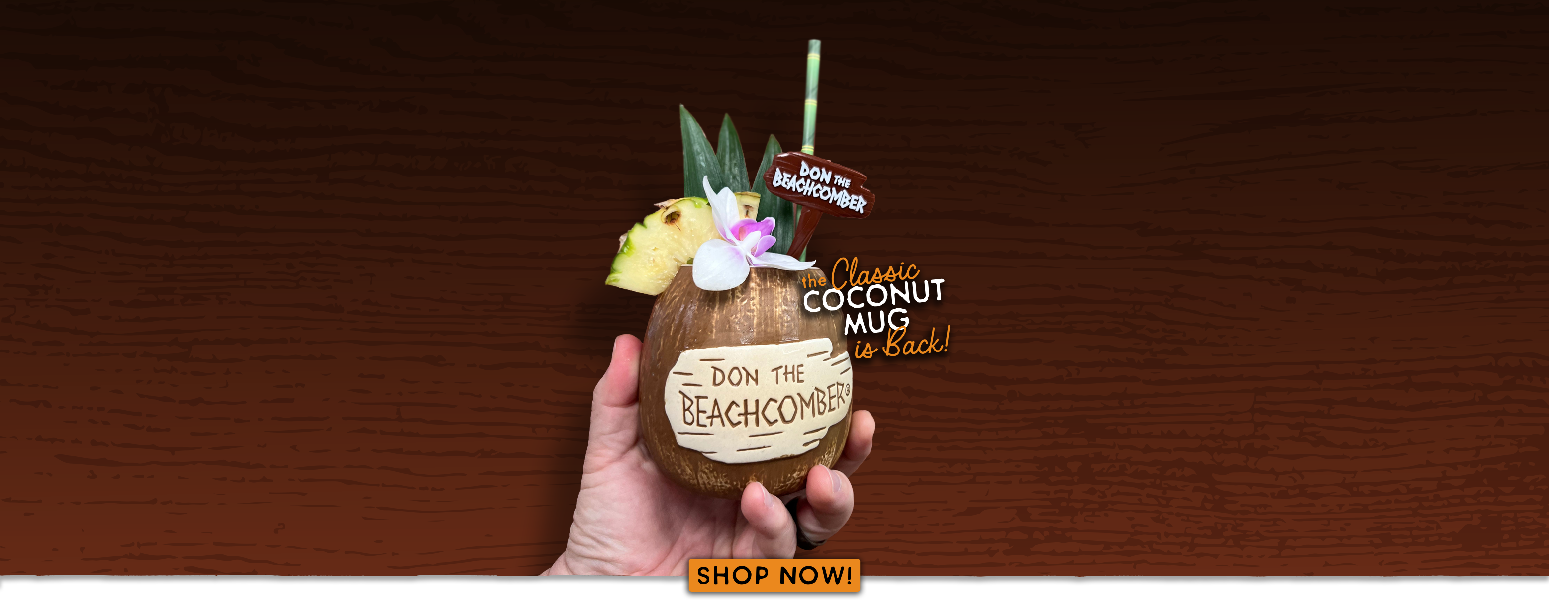 DTB_HeaderImage_Coconut.png